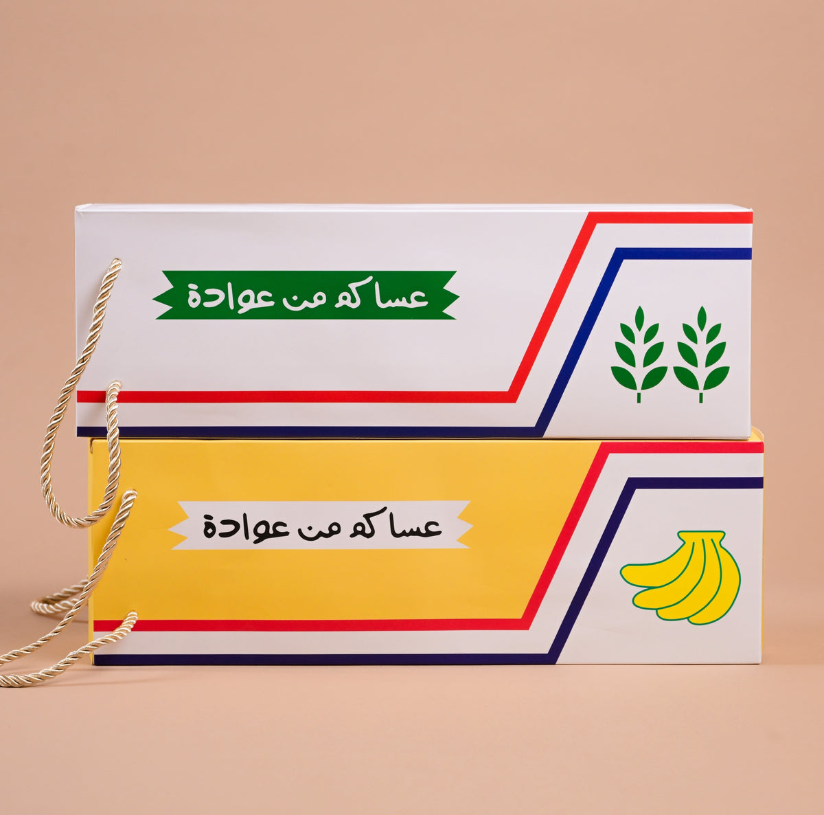Chiwi Box علبه علوج
