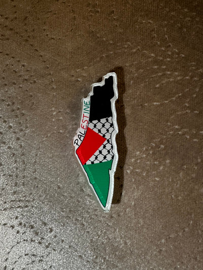 Palestine pin 1